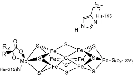Figure 4.1. Schematic of the nitrogenase FeMo cofactor; His-195 may interact  via hydrogen-bonding with the active site