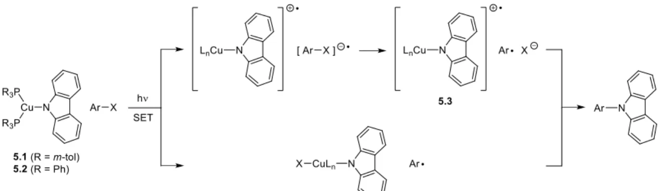 Figure 5.2 Outline of a possible pathway for photoinduced Ullmann C–N bond formation  via a copper–carbazolide complex