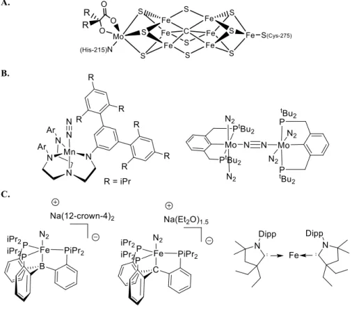 Figure  1.3.  (A)  Structure  of  FeMoco.    (B)  The  first  molecular  molybdenum  catalysts  reported for N 2  fixation