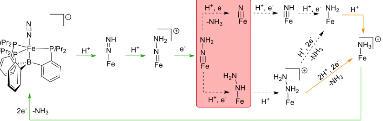Figure 1.5. Mechanistic outline for the catalytic reduction of N 2  to ammonia by [TPBFe]