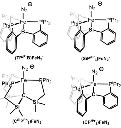 Figure 2.2.  Select  trigonal  bipyramidal  scaffolds  previously  studied by our lab,  and the  present (CP iPr 3 )FeN 2 -  system