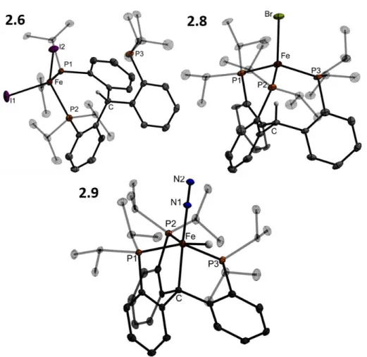 Figure 2.3. Crystal structures of {(CP iPr 3 )H}FeI 2  (2.6, top left), {(CP iPr 3 )H}FeBr (2.8, top  right), and (CP iPr 3 )Fe(H)(N 2 ) (2.9, bottom)