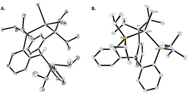 Figure  2.4.  Crystal  structures  of  and  {(CP iPr 3 )H}CoI 2   (A)  and{(CP iPr 3 )H}CoCl  (B)