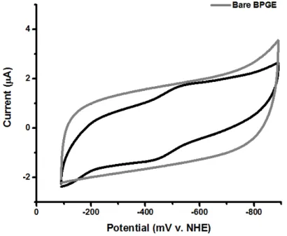 Figure A3.1. Cyclic Voltammogram of Flavodoxin II on Unmodified Basal  Plane Graphite Electrodes