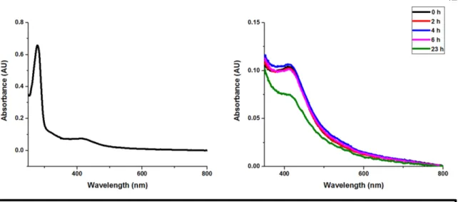 Figure 2.5. UV-Visible Absorption Spectrum of Dna2. (Left)  The UV-visible  absorption spectrum of Dna2 in 20 mM trizma-HCl, 200 mM NaCl, 0.1 mM EDTA, pH  8