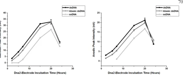 Figure 3.5. Signal Intensity Over Time. Signal intensity over time of Dna2 on DNA- DNA-Modified gold electrodes