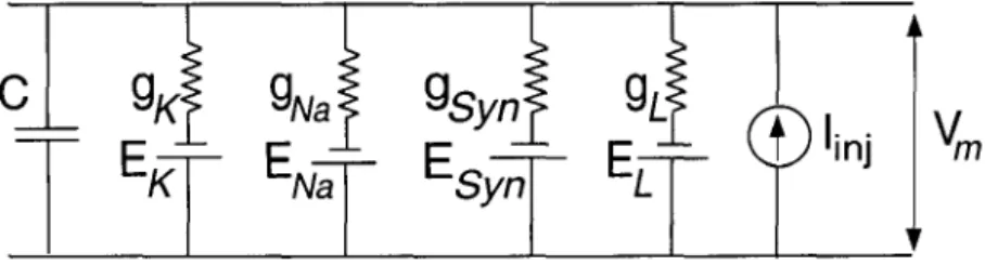 Figure  3.4:  Electric  Circuit  of a  Membrane  Patch. 