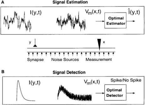 Figure 4.1:  Channel  Model  of a  Weakly-Active  Dendrite. 