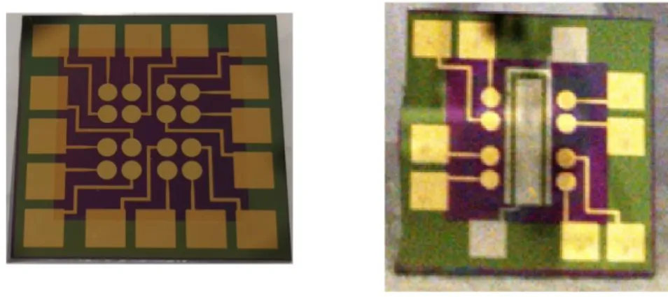 Figure 7.1 A standard 16-electrode multiplexed chip (left) and an 8-electrode chip with internal  Pt reference and auxiliary electrodes (integrated chip; right)
