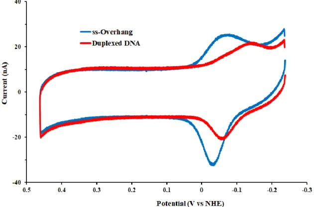 Figure 7.4 CV of MBʹ-modified Pol δ substrates. DNA with a single-stranded overhang (blue)  exhibits a single reductive peak with low peak splitting and rapid electron transfer rates