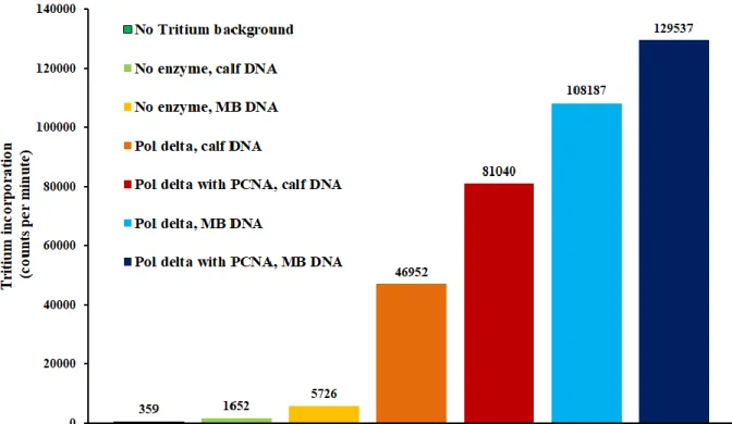 Figure 7.5 Data from a representative  3 H incorporation assay.  3 H-labeled dTTP was used to  record DNA synthesis, and Pol δ activity with (red) and without PCNA (orange) on a standard  calf thymus DNA substrate was compared with the same MBʹ substrate u