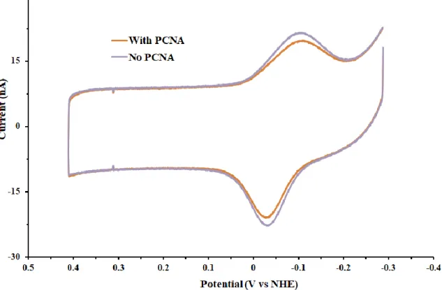 Figure 7.8 Polymerase reactions at a DNA-modified electrode are unaffected by PCNA. 