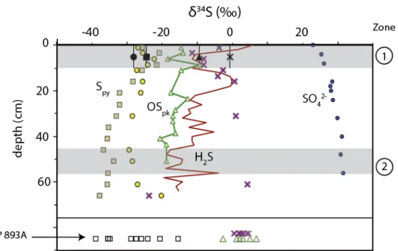 Figure  6:  δ 34 S VCDT   relationships  among  reduced  sulfur  pools  in  multicore  sediments  and ODP Hole 893A