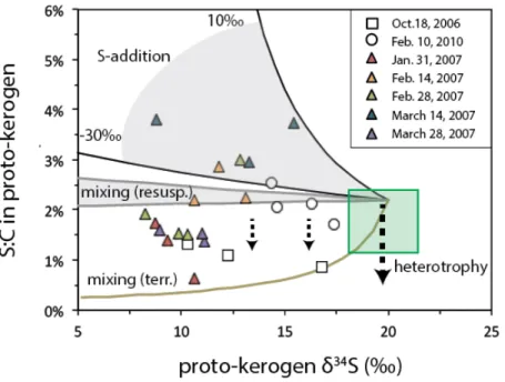 Figure  5.  Processes  influencing  the  δ 34 S  value  and  S:C  ratio  of  proto-kerogen  in  particles