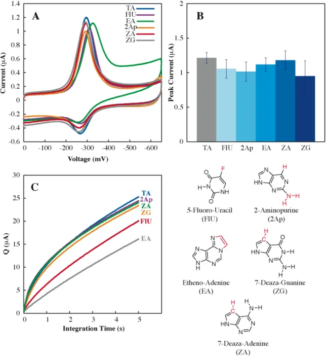 Figure 2.4.   Electrochemical detection of group 3 lesions.  A.  Cyclic voltammetry  without electrocatalysis