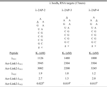 Table 1. Dissociation constants (K d ) for peptides and acridine-peptide conjugates against  boxB R  RNA a