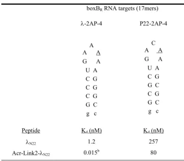 Table 3. Dissociation constants (K d ) for peptides and acridine-peptide  conjugates against λ boxB and P22 boxB R  RNA a