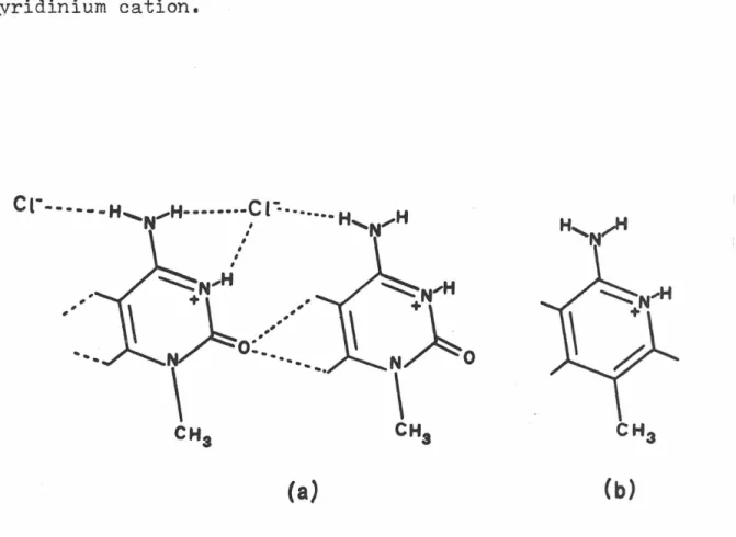 Fig.  2.  (a)  The  translational  relationship  between  cytosine  rings  and  chloride  ions  as  found  in  a  number  of  hydrochloride  salts  of  cytosine  derivatives;  (b)  the  