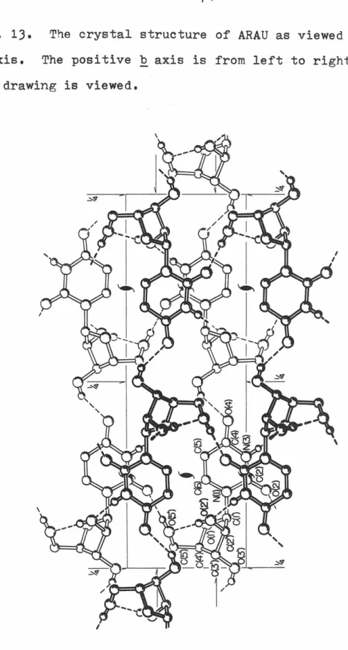 Fig.  lJ.  The  crystal  structure  of  ARAU  as  viewed  down  the  a  axis,  The  positive  b  axis  is  from  left  to  right  as 