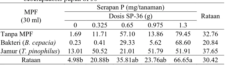 Tabel 4. Rataan nilai Serapan P pada aplikasi mikroba pelarut fosfat dan  beberapadosis pupuk SP36 