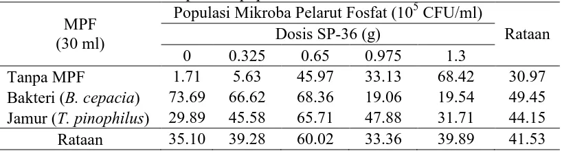 Tabel 8. Rataan Populasi Mikroba Pelarut Fosfat pada aplikasi mikroba pelarut fosfat dan  beberapadosis pupuk SP36 Populasi Mikroba Pelarut Fosfat (105 CFU/ml) 