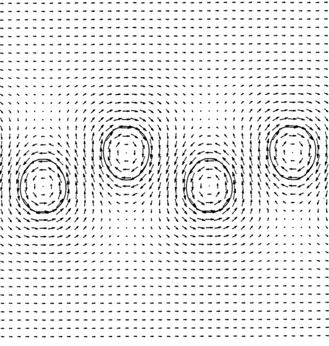 Figure  9.  Plot  of  the  vortex  shapes  and  the  velocity  field  for 