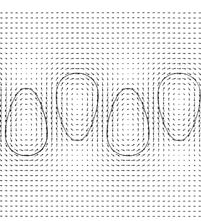 Figure  12.  Plot  of  the  vortex  shapes  and  the  velocity  field  for 