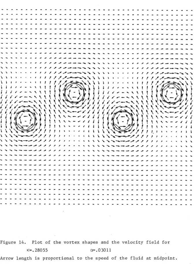 Figure  14.  Plot  of  the  vortex  shapes  and  the  velocity  field  for 