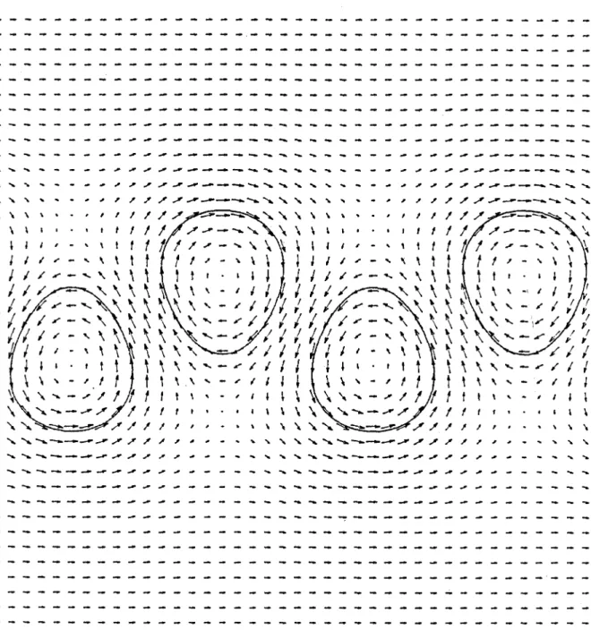 Figure  16.  Plot  of  the  vortex  shapes  and  the  velocity  field  for 