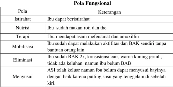 Tabel 4.5  Pola Fungsional 