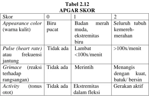 Tabel 2.12   APGAR SKOR 