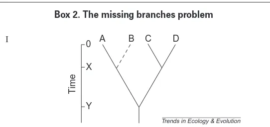 Fig. 2. Two hypothetical phylogenies with the same number of speciationevents (seven events)