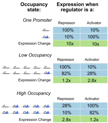 Figure 3.9: Activators and repressors respond differently to changes in regulator concentration in highly saturated and highly unsaturated conditions