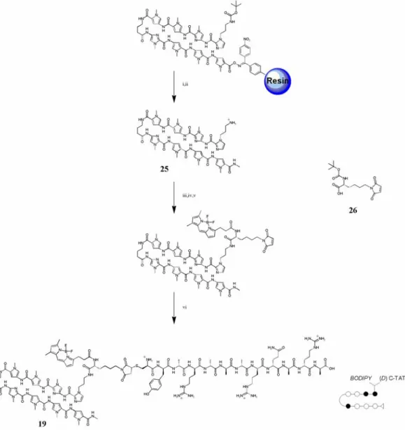 Figure 3.9  Synthesis of a representative compound in the N-terminal-linked series. 