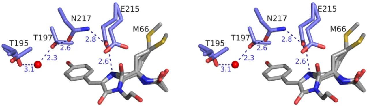 Fig.  S5.  Trypsin-digest  mass  spectrometry  confirms  the  presence  of  a  hydroxylated  chromophore  species  in  mRouge