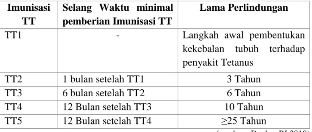 Tabel 2.6  Imunisasi Tetanus  Toxoid  