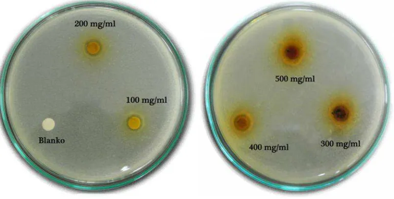 Gambar 4.2 Zona hambat bakteri Staphylococcus aureus ekstrak  metanol