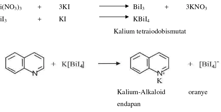 Gambar 2.2 Reaksi Alkaloid dengan Pereaksi Dragendorf ( Setyowati et al, 2014)