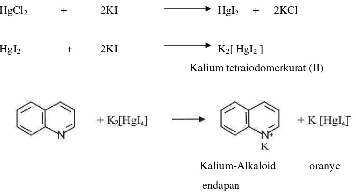 Gambar 2.3 Reaksi Alkaloid dengan pereaksi Wagner ( Setyowati et al, 2014)
