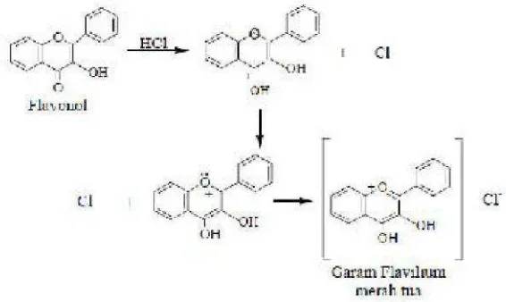 Gambar 2.5 Reaksi Flavonoid dengan Mg dan HCI ( Setyowati et al, 2014)