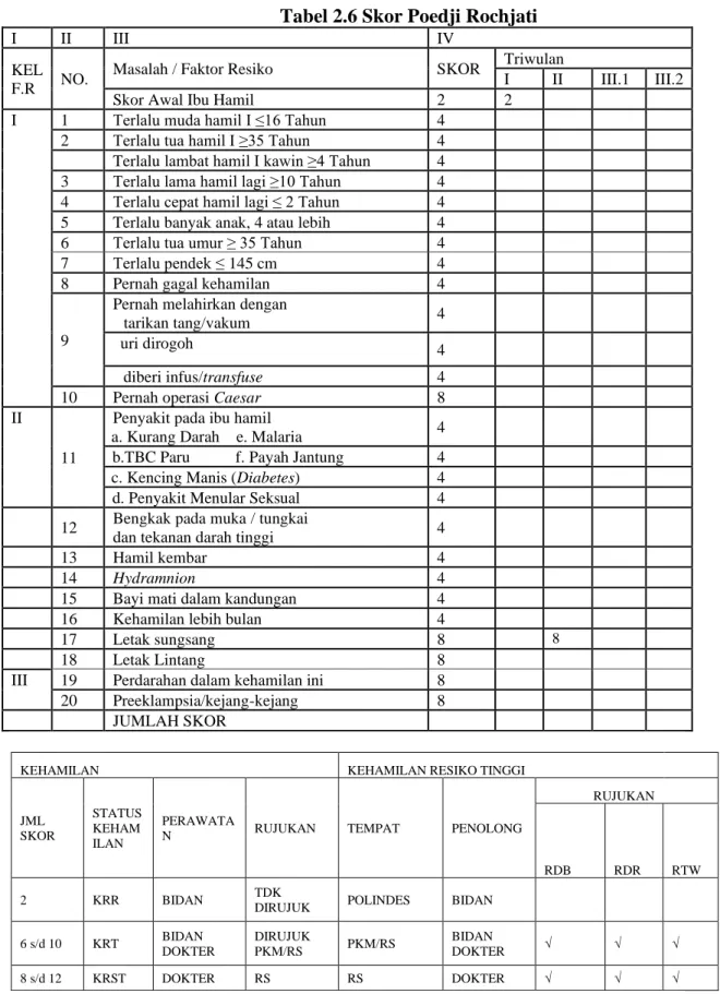 Tabel 2.6 Skor Poedji Rochjati 