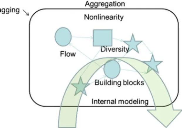 Fig. 3 A CAS entity and its basic elements (Kuusisto 2012)