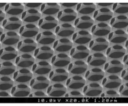 Figure 2.69: Self-aligned quantum nanostructures embedded in 2D PhCs by selective wet etching.