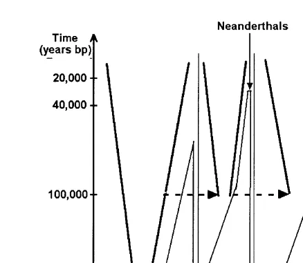 Fig. 1. Schematic of the demographic history of modern humans, according to the replacement (“Out ofAfrica”) theory