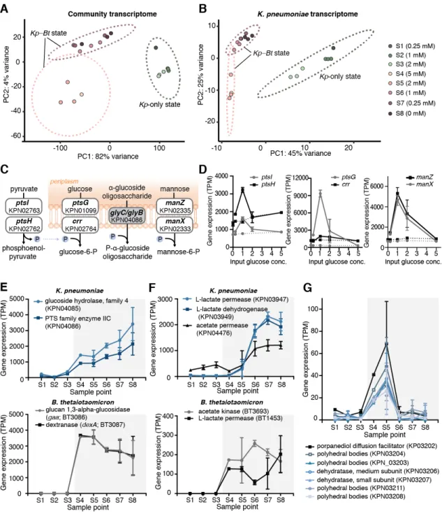 Fig.  1.4.  Gene-expression  analysis  of  CSTR  steady-state  samples.  (A)  PCA  of  the  community transcriptome; each dot represents the combined transcriptome of K