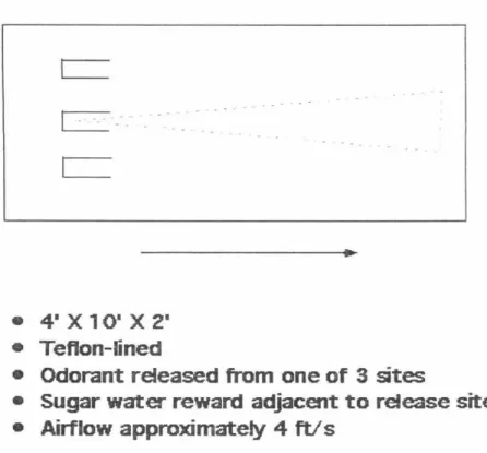 Figure 2.  Schematic diagram of wind tunnel.  Air flows  from left to right.  The dotted lines represent the  approximate shape of odor plume as visualized using flow visualization techniques