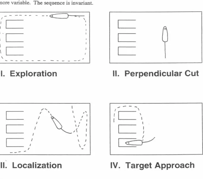 Figure  6.  Four main phases of rat olfactory search behavior. 