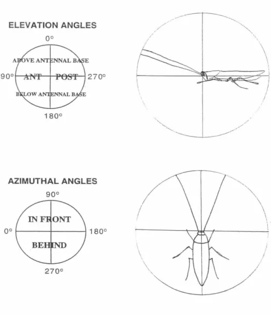 Figure 2.  Reference frames  used  for angular measurement 