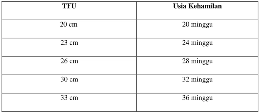 Tabel 2.7 Usia Kehamilan Berdasarkan TFU Dalam Bentuk (cm) 