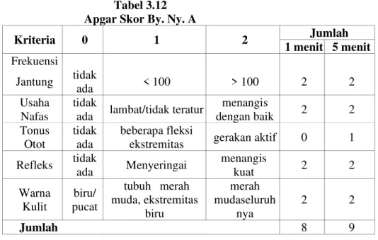 Tabel 3.12   Apgar Skor By. Ny. A 